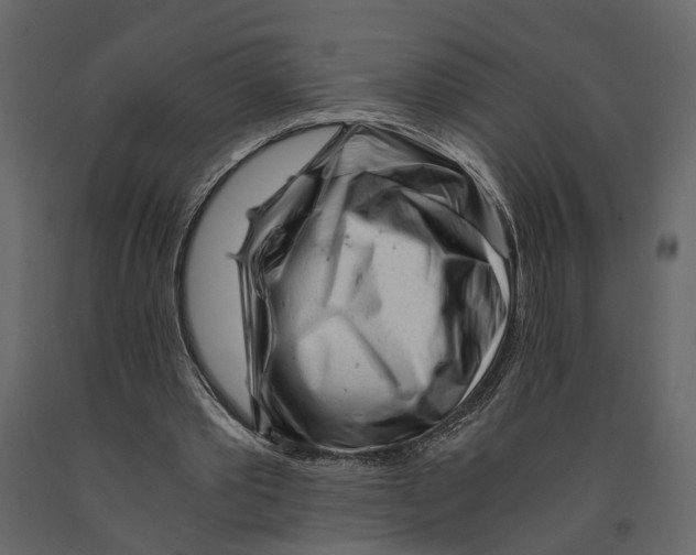 X0000090920389200708271029