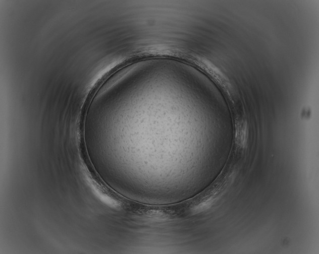 X0000090920390200708271029