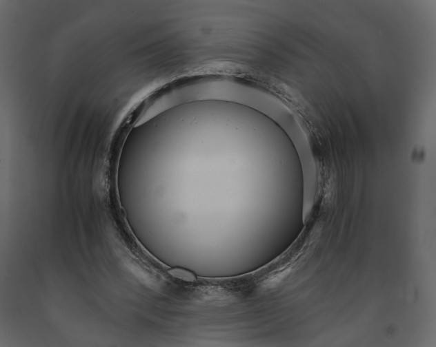 X0000090920392200708271029