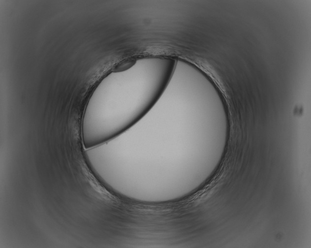 X0000090920393200708271028