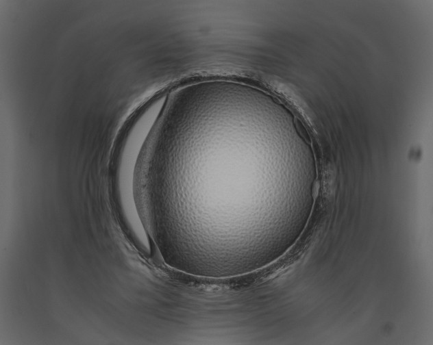 X0000090920395200708271028