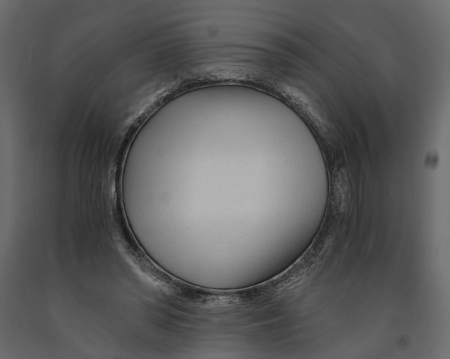 X0000090920398200708271028