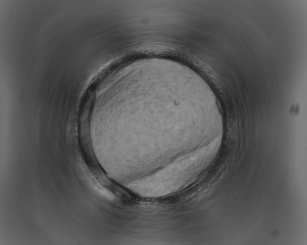 X0000090920399200708271028