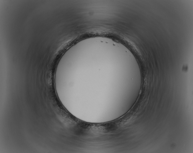 X0000090920403200708271028