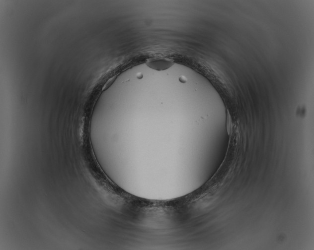 X0000090920404200708271028