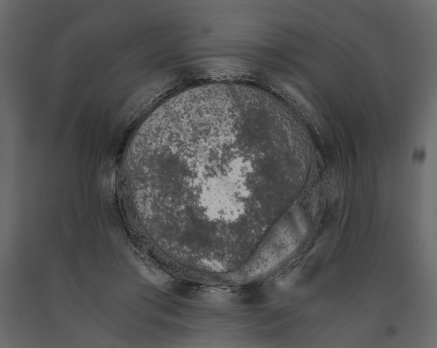 X0000090920405200708271028