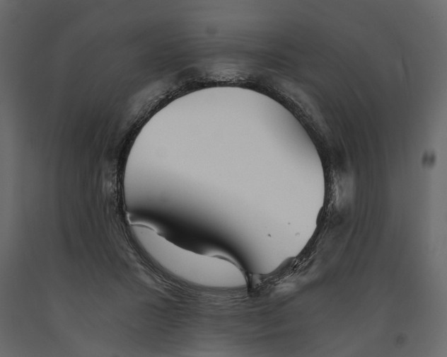 X0000090920407200708271028