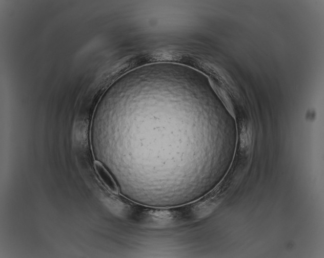 X0000090920409200708271028