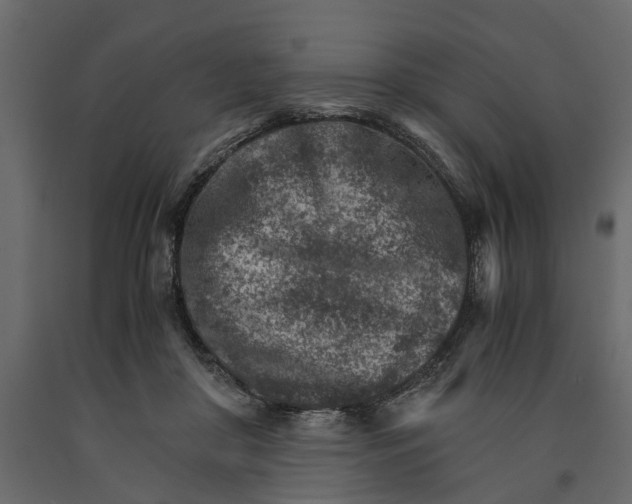 X0000090920410200708271028