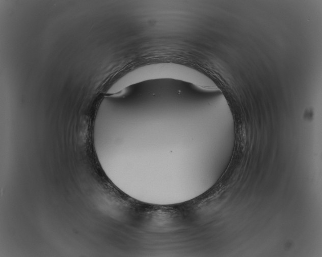 X0000090920412200708271028