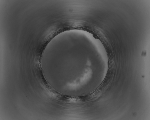 X0000090920415200708271028