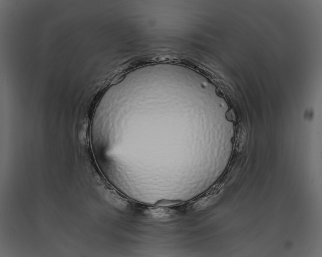 X0000090920417200708271028