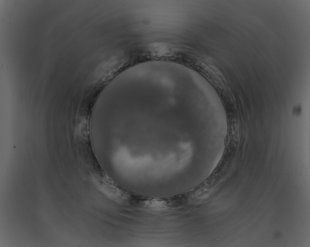 X0000090920419200708271028