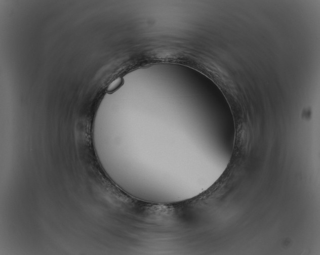 X0000090920421200708271028