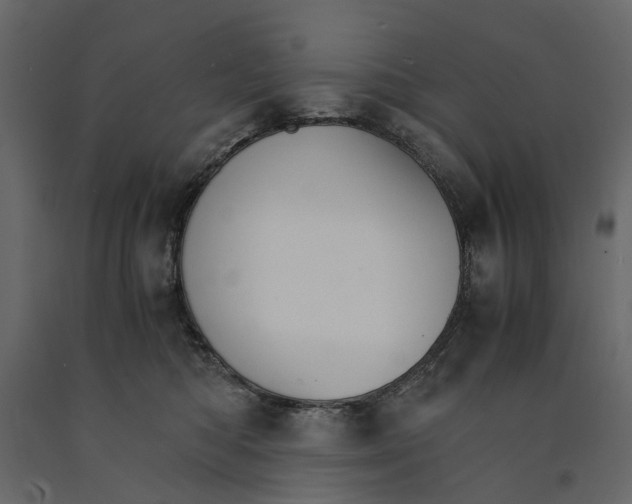 X0000090920422200708271028