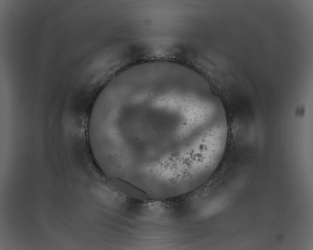 X0000090920423200708271028