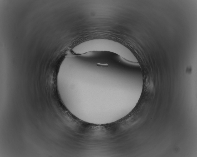 X0000090920424200708271028