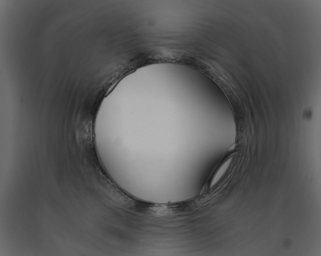 X0000090920425200708271028