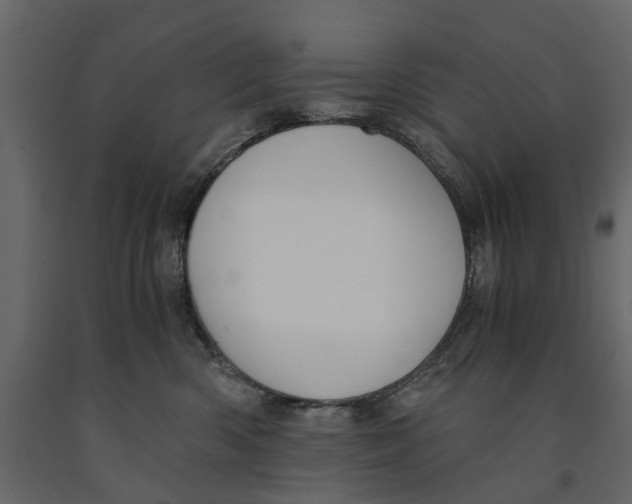 X0000090920426200708271028