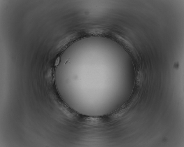 X0000090920428200708271028