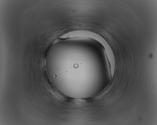 X0000090920429200708271028