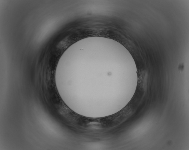 X0000090920430200708271028