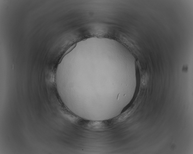 X0000090920431200708271028