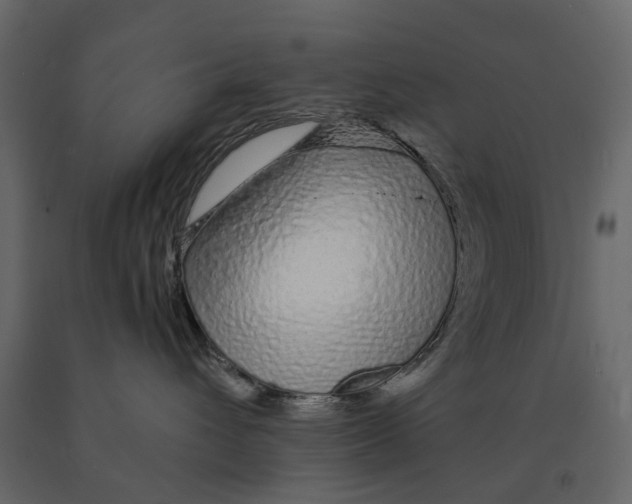 X0000090920432200708271028