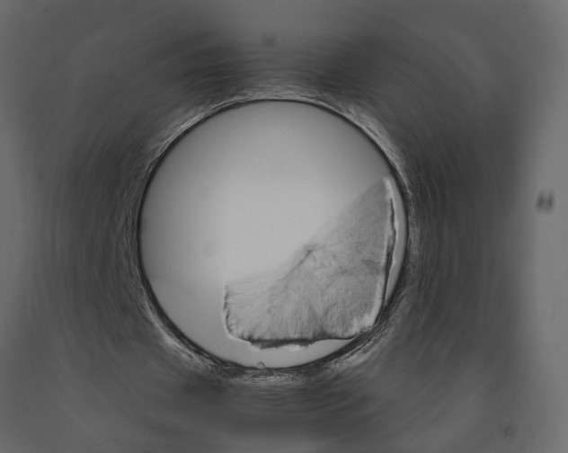 X0000090920433200708271027