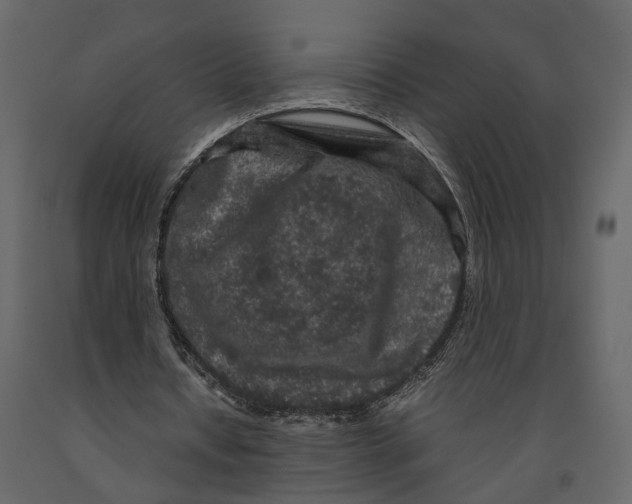 X0000090920434200708271027