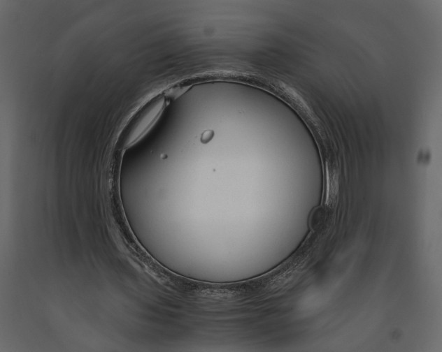 X0000090920435200708271027