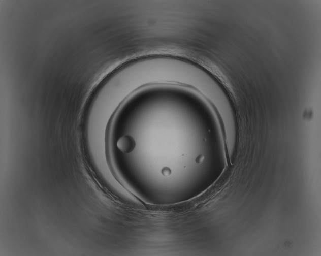 X0000090920436200708271027