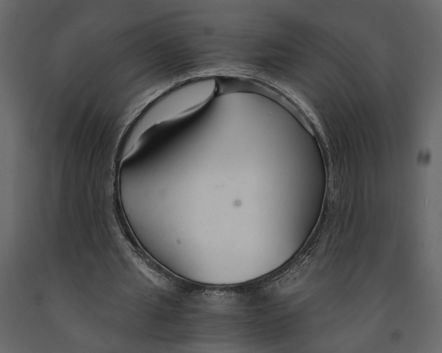 X0000090920437200708271027