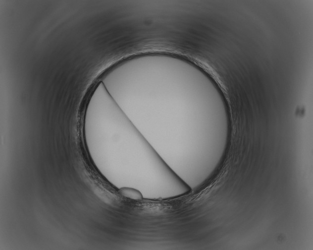 X0000090920439200708271027