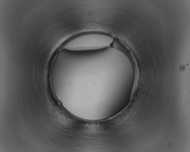 X0000090920440200708271027