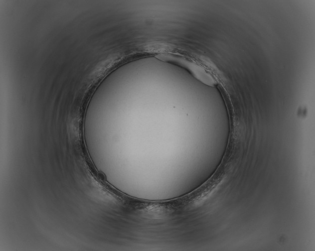 X0000090920441200708271027