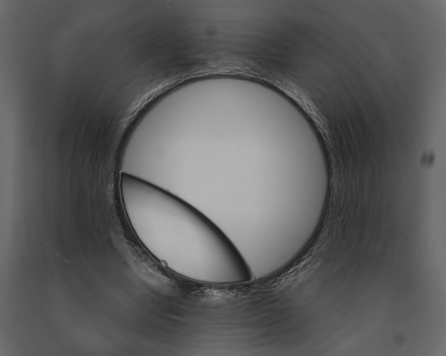 X0000090920442200708271027