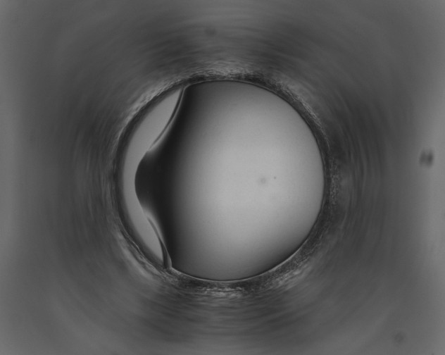 X0000090920443200708271027