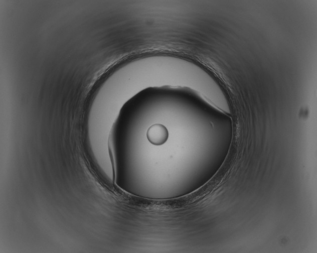 X0000090920444200708271027