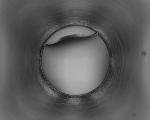 X0000090920445200708271027