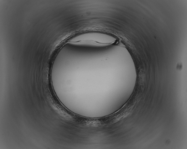 X0000090920446200708271027