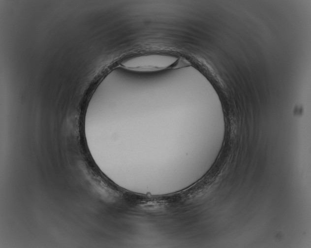 X0000090920447200708271027