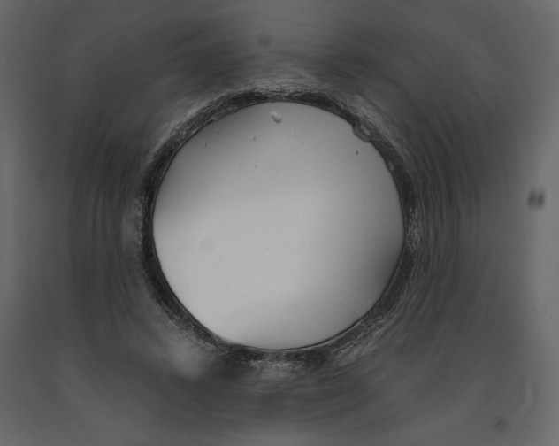 X0000090920448200708271027