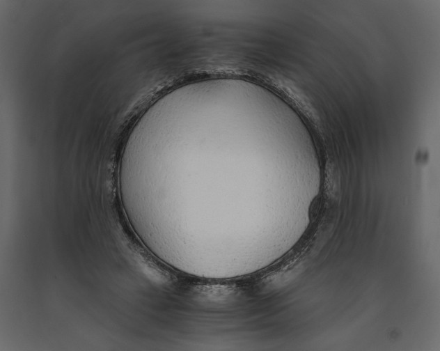 X0000090920449200708271027