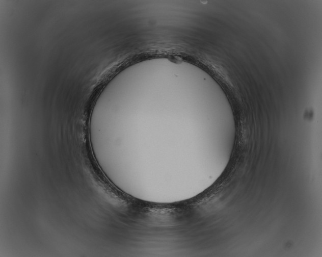 X0000090920450200708271027