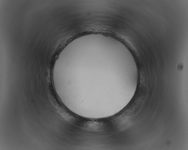 X0000090920453200708271027