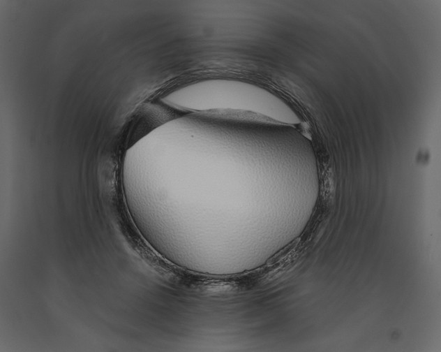 X0000090920456200708271028