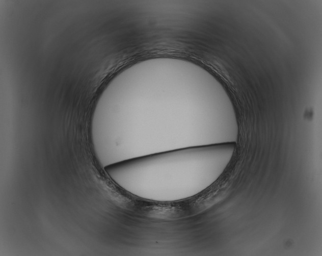 X0000090920458200708271028