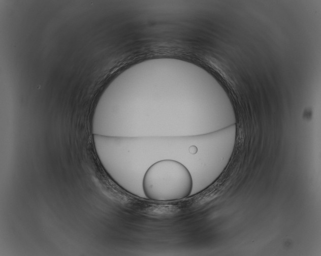 X0000090920459200708271028