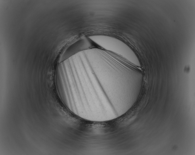 X0000090920462200708271028